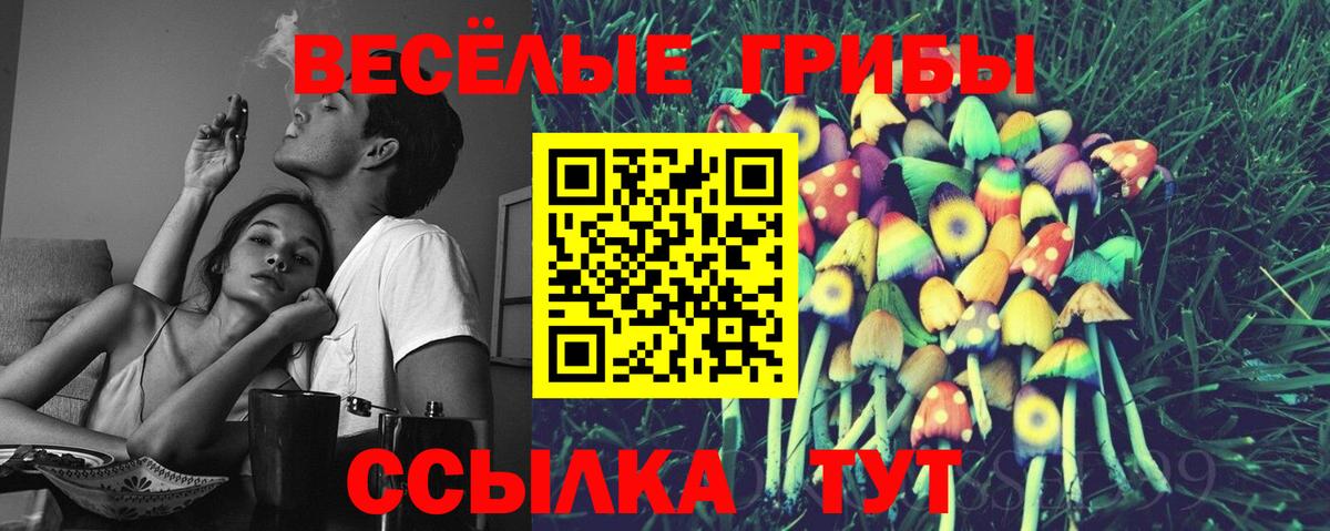 Псилоцибиновые грибы Cubensis Егорьевск